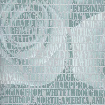 Обои Andrea Rossi