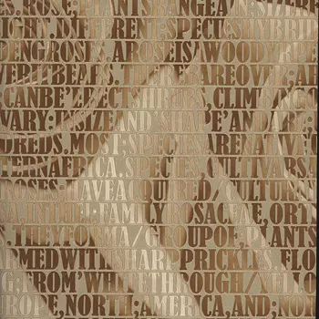 Обои Andrea Rossi