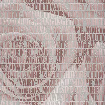 Обои Andrea Rossi