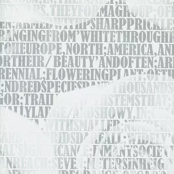 Обои Andrea Rossi