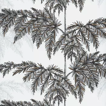 Обои Andrea Rossi