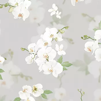 Обои Andrea Rossi