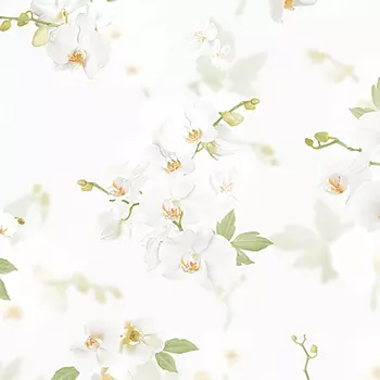 Обои Andrea Rossi