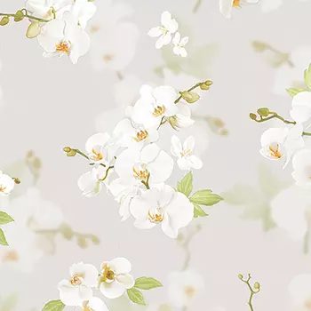 Обои Andrea Rossi