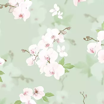 Обои Andrea Rossi