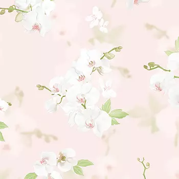 Обои Andrea Rossi