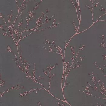 Обои Andrea Rossi