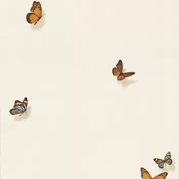 Обои Andrea Rossi