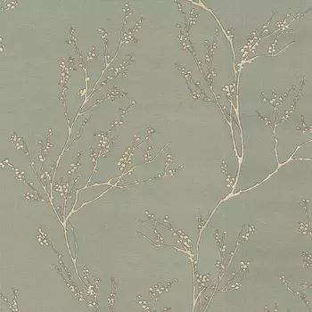 Обои Andrea Rossi