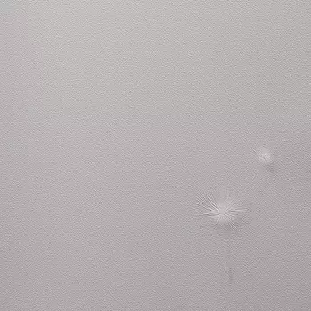 Обои Andrea Rossi