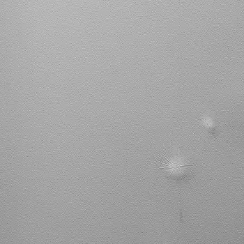 Обои Andrea Rossi