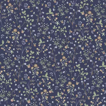 Обои Andrea Rossi