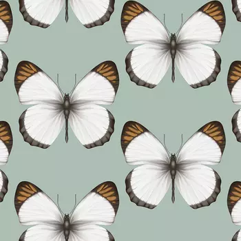 Обои Andrea Rossi