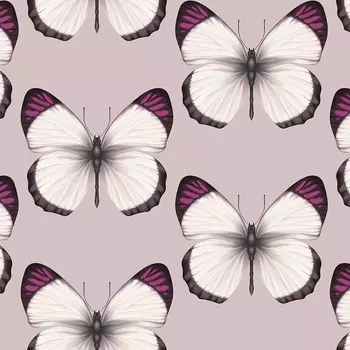 Обои Andrea Rossi