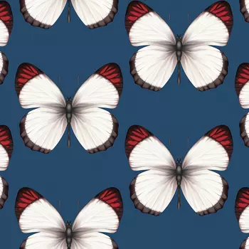 Обои Andrea Rossi