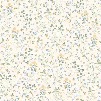 Обои Andrea Rossi