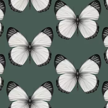 Обои Andrea Rossi