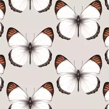 Обои Andrea Rossi