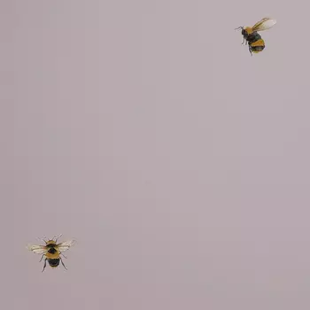 Обои Andrea Rossi