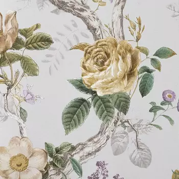 Обои Andrea Rossi