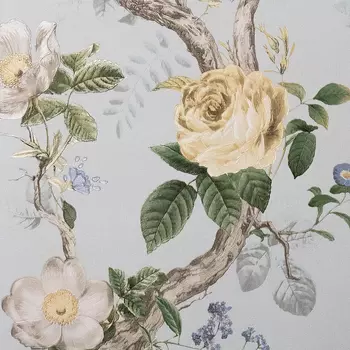 Обои Andrea Rossi