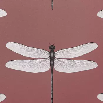 Обои Andrea Rossi