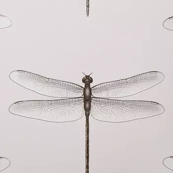 Обои Andrea Rossi