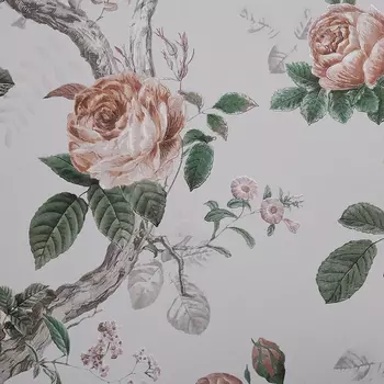 Обои Andrea Rossi