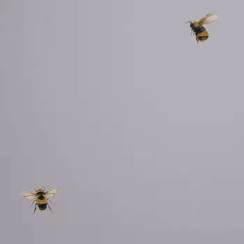 Обои Andrea Rossi