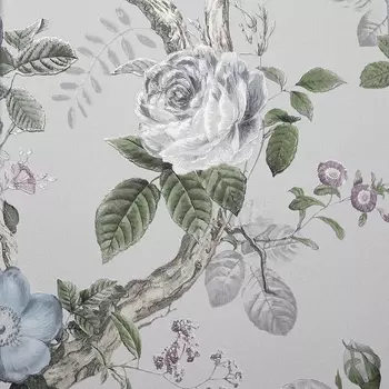 Обои Andrea Rossi