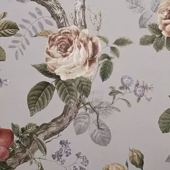 Обои Andrea Rossi