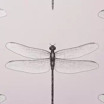 Обои Andrea Rossi