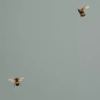 Обои Andrea Rossi