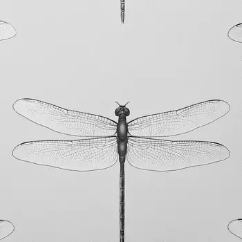 Обои Andrea Rossi