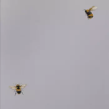 Обои Andrea Rossi