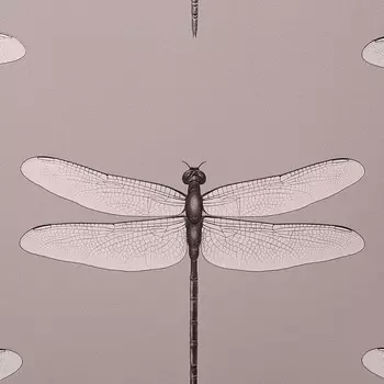 Обои Andrea Rossi