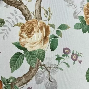 Обои Andrea Rossi