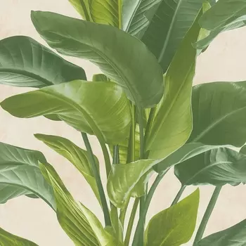 Обои AS Creation