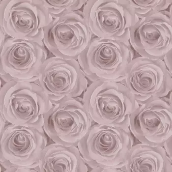 Обои AS Creation