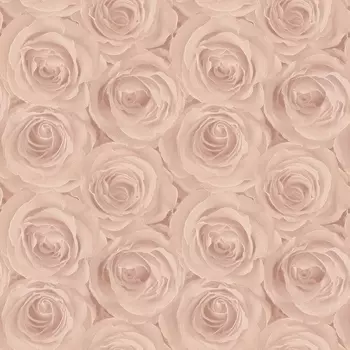 Обои AS Creation