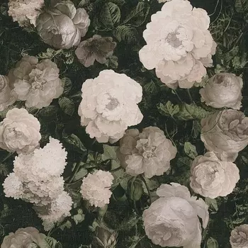 Обои AS Creation