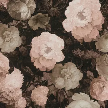 Обои AS Creation