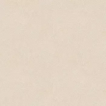 Обои AS Creation