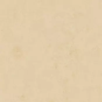 Обои Bernardo Bartalucci