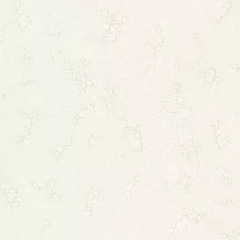 Обои Bernardo Bartalucci