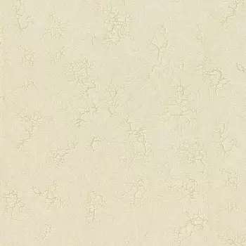 Обои Bernardo Bartalucci