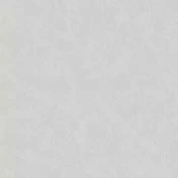 Обои Bernardo Bartalucci