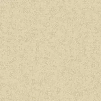 Обои Bernardo Bartalucci