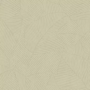 Обои Bernardo Bartalucci