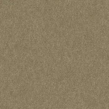 Обои Bernardo Bartalucci